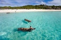 Swimming pigs of Exuma