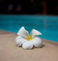 Swimming pool Royalty Free Stock Photo