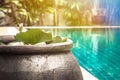 Swimming pool area with decorative asian style bowl with water lily among lush tropical garden with sunlight and copy space at pri Royalty Free Stock Photo