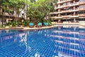 Swimming pool among a beautiful garden with tall palm trees Royalty Free Stock Photo