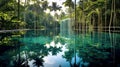 Swimming pool in beautiful scenery, swimming pool in the jungle, swimming pool in a luxury hotel