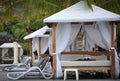 Swimming pool beds and chairs under coconut trees Royalty Free Stock Photo