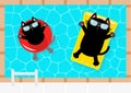 Swimming pool. Black cat floating on yellow pool float water mattress and red circle. Top air view. Sunglasses. Lifebuoy. Hello Su