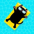 Swimming pool. Black cat floating on yellow pool float water mattress. Top air view. Hello Summer. Sunglasses. Lifebuoy. Cute cart