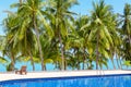 Swimming pool blue water, sea beach poolside, tropical island nature, green palm trees, ocean coast, summer holidays, vacation Royalty Free Stock Photo