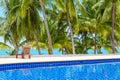 Swimming pool blue water, sea beach poolside, tropical island nature, green palm trees, ocean coast, summer holidays, vacation Royalty Free Stock Photo