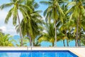 Swimming pool blue water, sea beach poolside, tropical island nature, green palm trees, ocean coast, summer holidays, vacation Royalty Free Stock Photo