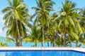 Swimming pool blue water, sea beach poolside, tropical island nature, green palm trees, ocean coast, summer holidays, vacation Royalty Free Stock Photo