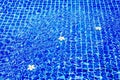 Swimming pool blue water surface background, floating plumeria frangipani flowers, summer holidays, vacation, spa relax, beauty