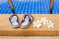 Swimming pool blue water, white plumeria frangipani flowers, women flip flops, poolside, tropical sea beach nature, summer holiday Royalty Free Stock Photo