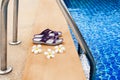 Swimming pool, blue water, white plumeria frangipani flowers, women flip flops, poolside, tropical sea beach, summer holidays Royalty Free Stock Photo