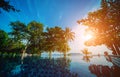 Swimming pool at exotic tropical resort. Exotic garden. Royalty Free Stock Photo