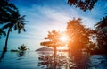 Swimming pool at exotic tropical resort. Exotic garden. Royalty Free Stock Photo