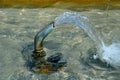 Swimming pool with fountains in the shape of an opposite cross on the promenade in the park on the square. lined with light granit