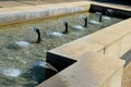 Swimming pool with fountains in the shape of an opposite cross on the promenade in the park on the square. lined with light granit