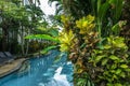 Swimming pool in the garden with with colorful croton trees, multicolored bright Codiaeum Variegatum leaves. Bali, Indonesia