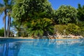 Swimming pool in garden with palms Royalty Free Stock Photo