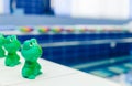 Swimming pool in kindergarten. Rubber toy frog on the side of the pool. Royalty Free Stock Photo