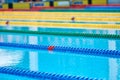 Swimming pool - lane lines Royalty Free Stock Photo