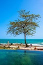 Swimming pool near the beach at high class resort Royalty Free Stock Photo