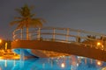 Swimming pool, night and palm trees Royalty Free Stock Photo