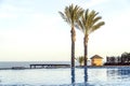 Swimming pool with palm tree and view of the ocean in a resort Royalty Free Stock Photo