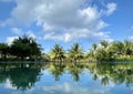Swimming pool reflection of a tropical beach. Royalty Free Stock Photo