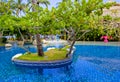 Swimming pool in a resort with green nature in bali island