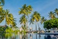 Swimming pool surrounded by palm trees at the tropical resort at Maldives Royalty Free Stock Photo