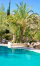 Swimming pool surrounded by plants