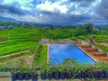 swimming pool surrounded by rice fields in Ruteng, Flores, East Nusa Tenggara