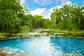 Swimming pool surrounded by tropical plants Royalty Free Stock Photo