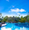 Swimming pool surrounded by tropical plants Royalty Free Stock Photo