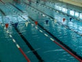 Swimming pool for swimming competitions. Empty Paths of a competitive swimming pool. Active swimming lessons.