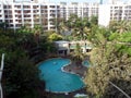 Swimming Pool under Coconut Trees