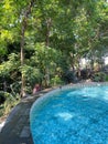 Swimming pool under shady trees Royalty Free Stock Photo