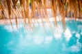 Swimming pool under the straw umbrella.