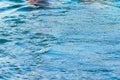 Swimming pool water ripples on the surface Royalty Free Stock Photo