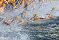 Swimming race in Geneva Lake, International Geneva Triathlon Royalty Free Stock Photo