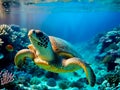 Swimming sea turtle atop coral reef. Generative AI Royalty Free Stock Photo