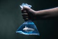 Swimming shark in a plastic bag filled with clean blue water under water scene. Environmental pollution, micro plastic and habitat Royalty Free Stock Photo