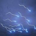 Swimming sperm Royalty Free Stock Photo