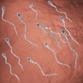 Swimming sperm