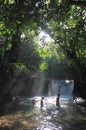 Forest river swimming Indonesia