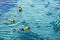 Swimming with stingrays in clear water at hotel resort on vacation