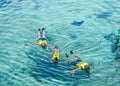 Swimming with stingrays in clear water at hotel resort on vacation