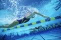 Swimming Team Practicing In Pool Royalty Free Stock Photo