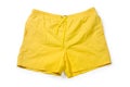 Swimming Trunks Royalty Free Stock Photo