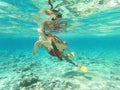 swimming with turtles at blue sea Gili Trawangan Royalty Free Stock Photo