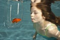 Swimming underwater looking at goldfish